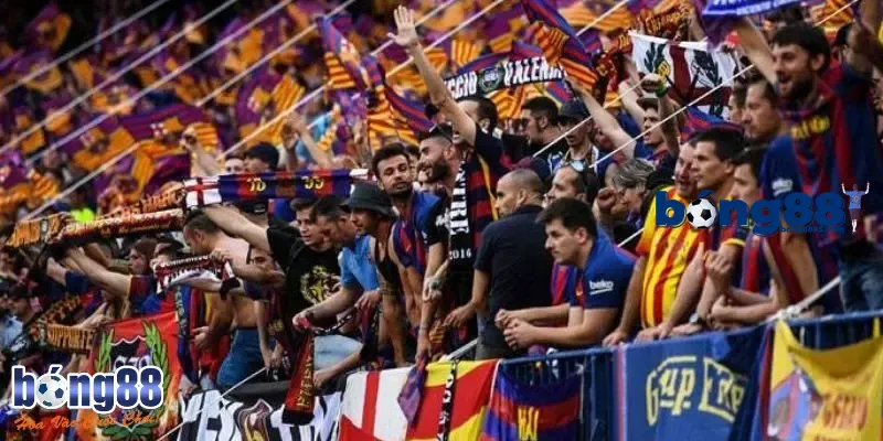 Giải thích Cules là gì?