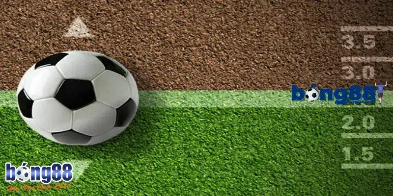 Tìm hiểu kèo tài xỉu 2.5 là gì?